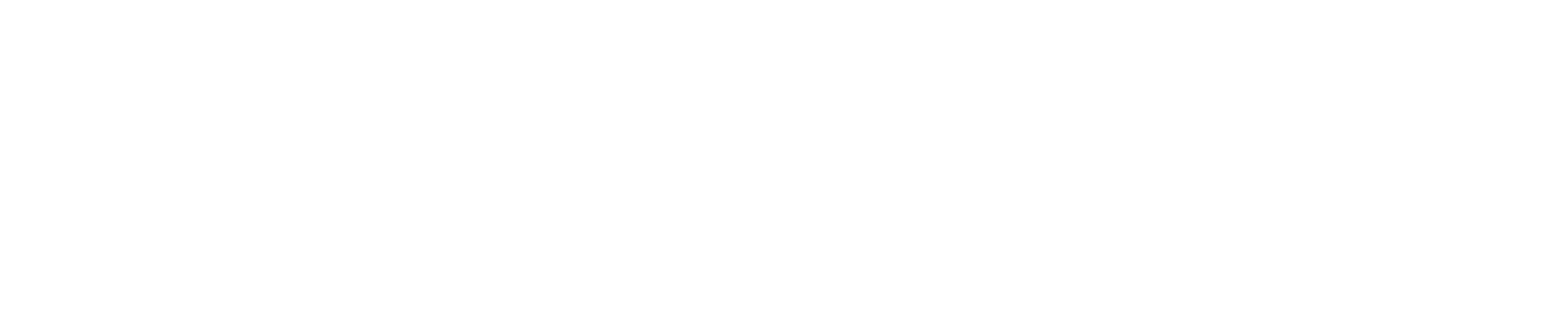 Connie Avoi logo