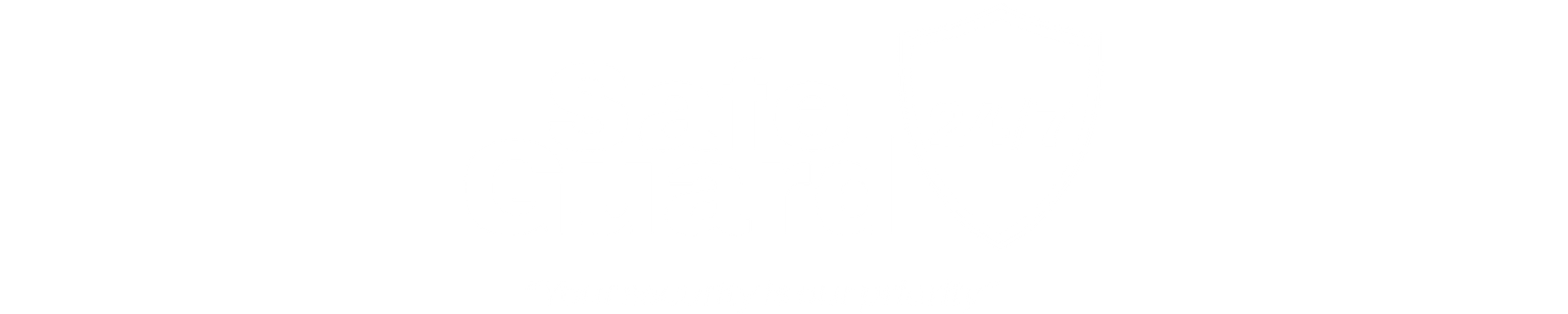 Safe Guard 24/7 logo